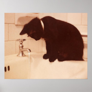 Pepper Black Cat Antique Bathroom Poster