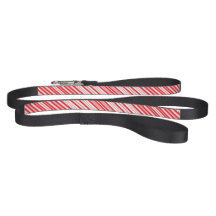 Peppermint Dog Leash