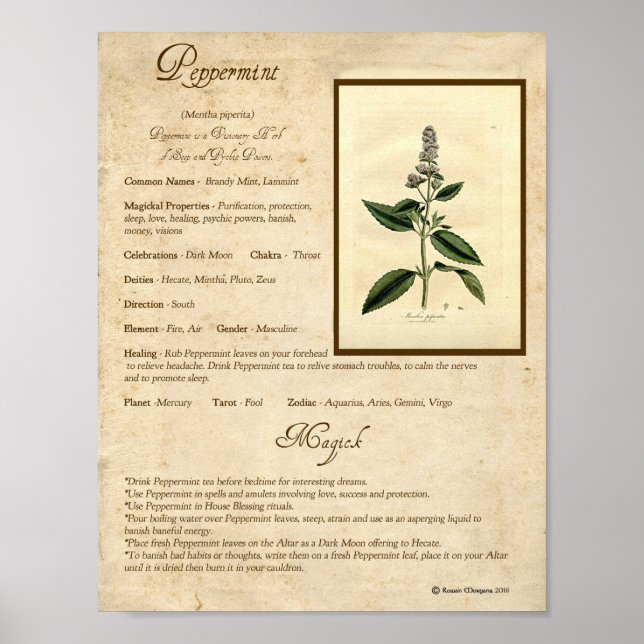 PEPPERMINT MAGICK HERB POSTER (Framsidan)