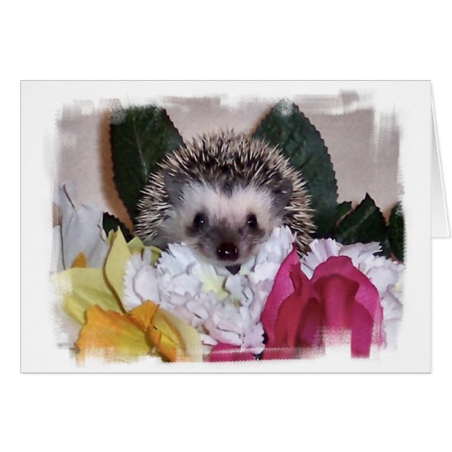 Pepperpot the Hedgehog Hälsningskort (Framsidan Horizontal)