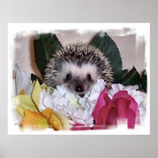 Pepperpot the Hedgehog Poster