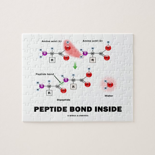 Peptide Bond Inside Chemical Molecules Pussel (Horisontell)