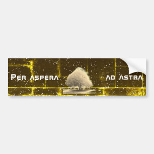 Per aspera ad astra bildekal