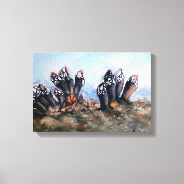 Percebes/Barnacles Canvastryck (Framsida)