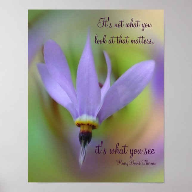 Perceptcitattecken Lila Flower inspirational Poster (Framsidan)