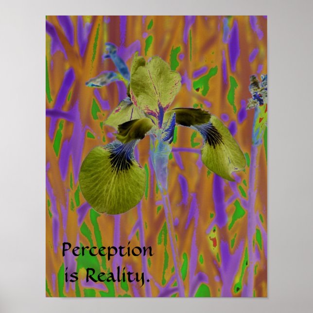 Perception is Reality Affisch-Iris Poster (Framsidan)