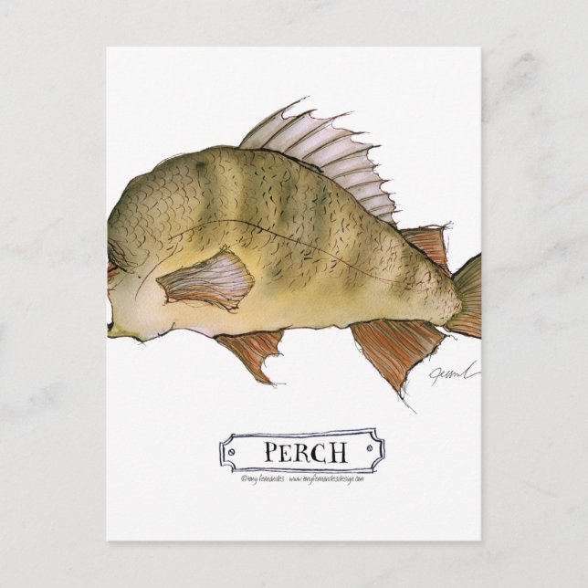Perch fish, tony fernandes vykort (Framsida)