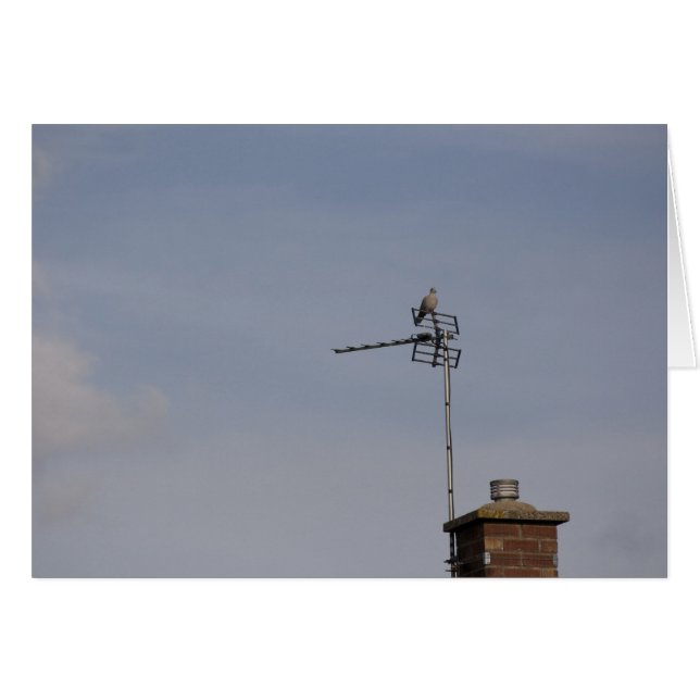 Perch Hälsningskort (Framsidan Horizontal)