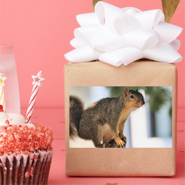 Perch Rektangulärt Klistermärke (Part)