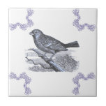 Perched Bird Blue-dekorpanel Kakelplatta<br><div class="desc">Blått dekorationsruta för persikor</div>