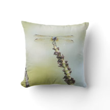 Perched Dronfly! Nature älskare