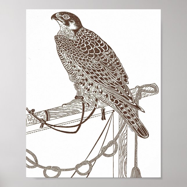Perched Falcon, Iconic, Falcon Art, Japan Print Poster (Framsidan)