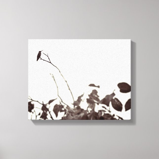 Perched Hummingbird 14x11 Wrapped Canvas (Framsida)