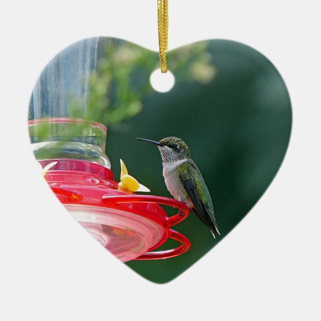 Perched Hummingbird Ceramic Ornament (Framsidan)