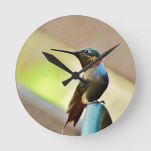 Perched Hummingbird för Ruby och för grönt lite Rund Klocka