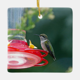 Perched Hummingbird Julgransprydnad Keramik