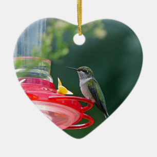Perched Hummingbird Julgransprydnad Keramik