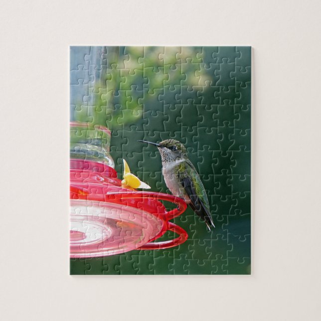 Perched Hummingbird Pussel (Vertikal)