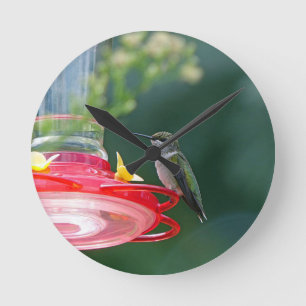 Perched Hummingbird Rund Klocka