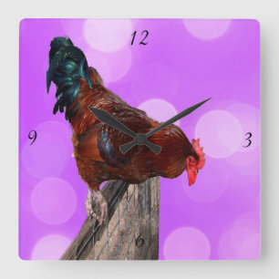 Perched in Majesty: Tupp on Dreamy Lila Glow Fyrkantig Klocka