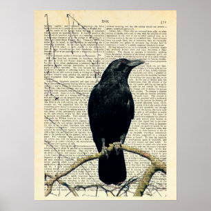 Perched Kråka, Kråka Art, Raven, Edgar Allan Poe Poster