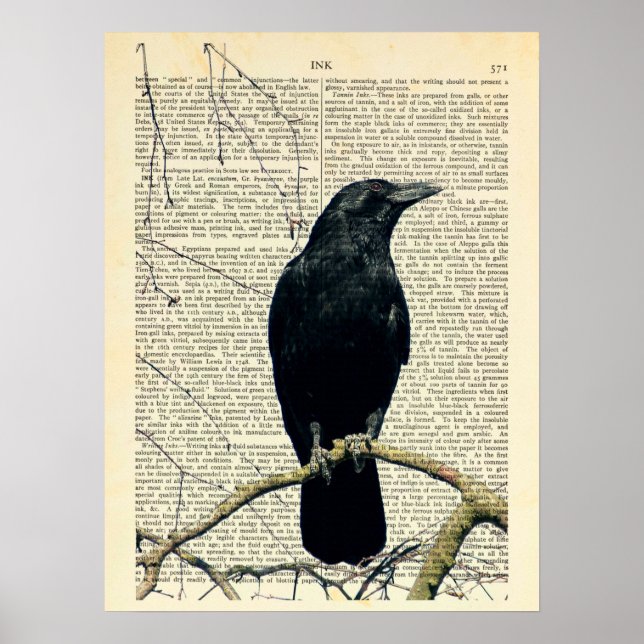 Perched Kråka, Kråka Art, Raven, Edgar Allan Poe Poster (Framsidan)