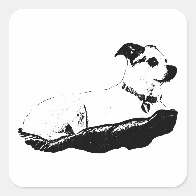 Perched & Observant Fyrkantigt Klistermärke (Framsida)