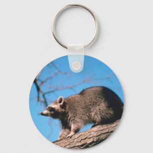 Perched Raccoon Nyckelring