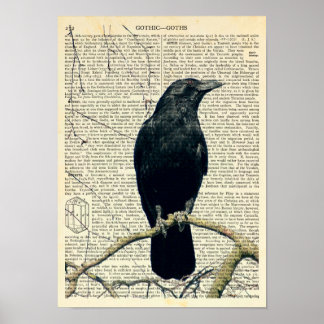 Perched Raven, Kråka, Edgar Allan Poe, Gothic Poster