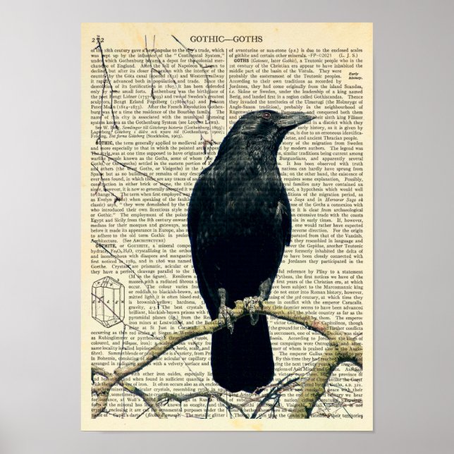 Perched Raven, Kråka, Edgar Allan Poe, Gothic Poster (Framsidan)
