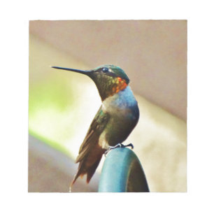 Perched Ruby och Grönt Little Hummingbird Anteckningsblock