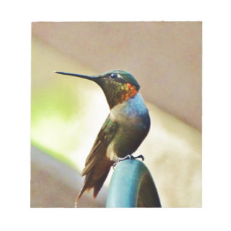 Perched Ruby och Grönt Little Hummingbird Anteckningsblock