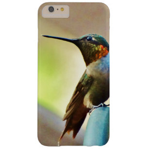 Perched Ruby och Grönt Little Hummingbird Barely There iPhone 6 Plus Fodral