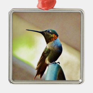 Perched Ruby och Grönt Little Hummingbird Julgransprydnad Metall