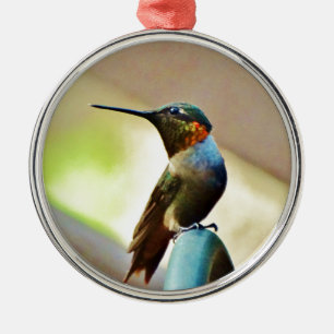 Perched Ruby och Grönt Little Hummingbird Julgransprydnad Metall