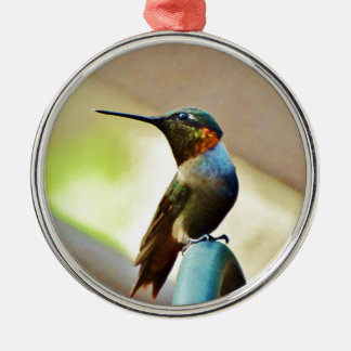 Perched Ruby och Grönt Little Hummingbird Julgransprydnad Metall