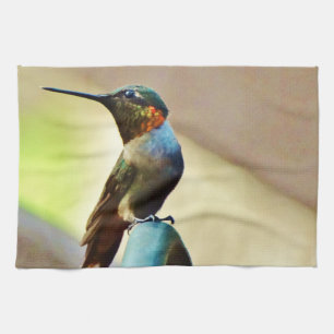 Perched Ruby och Grönt Little Hummingbird Kökshandduk