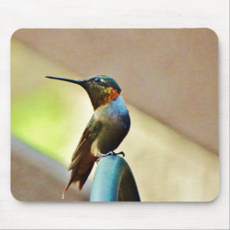Perched Ruby och Grönt Little Hummingbird Musmatta