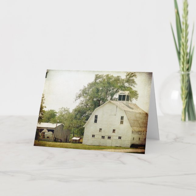 Percheron Barn Kort (Framsida)