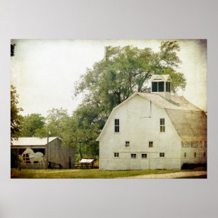 Percheron Barn Poster