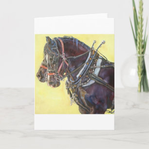 Percheron Draft-hästlag-hälsningskort Kort