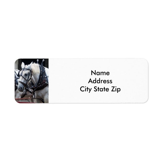 Percheron Draft Horse Returadress Etikett (Framsidan)