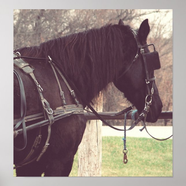 Percheron, Faux-Vintagen Poster (Framsidan)