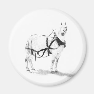 Percheron formulerar Equine konstmagneter för Magnet