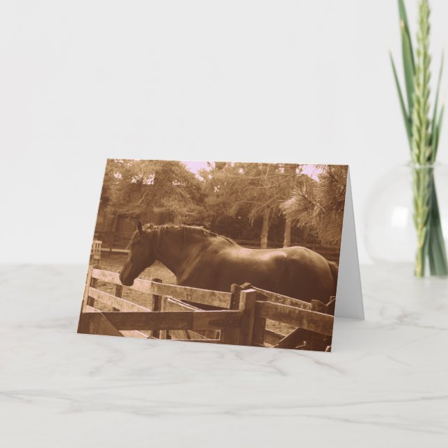 Percheron Greeting-kort Kort (Framsida)