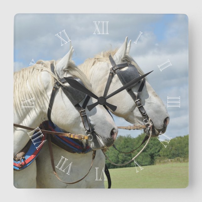Percheron hästar i sele fyrkantig klocka (Framsida)