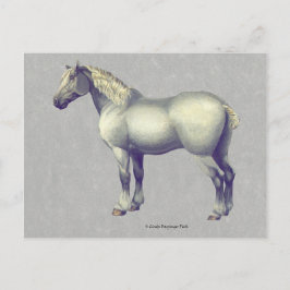 Percheron Horse Equine Art Vykort