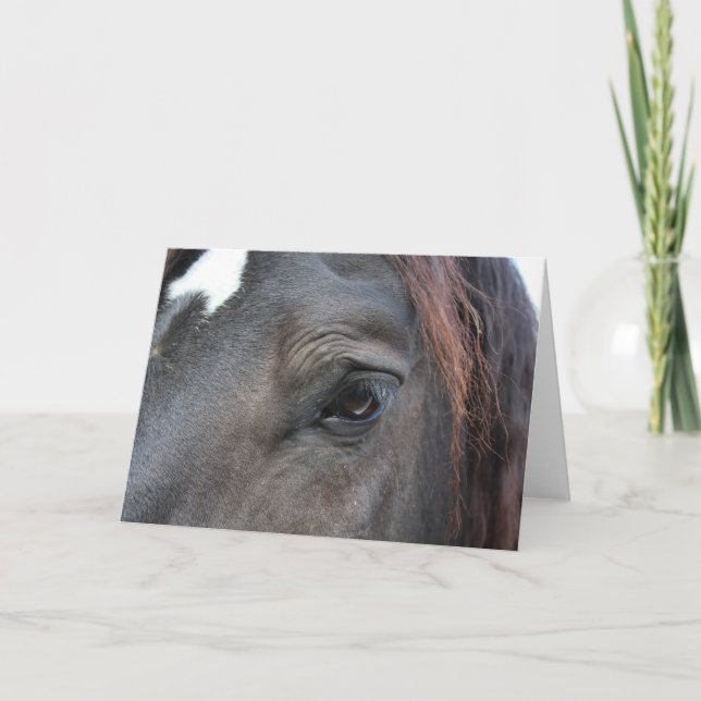 Percheron Horse Greeting Card Kort (Framsida)