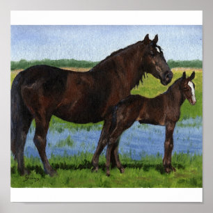 Percheron Mare och Foal Porträtt Poster