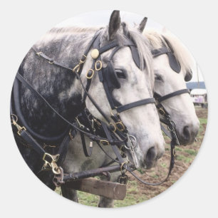 Percheron Tandem Runt Klistermärke